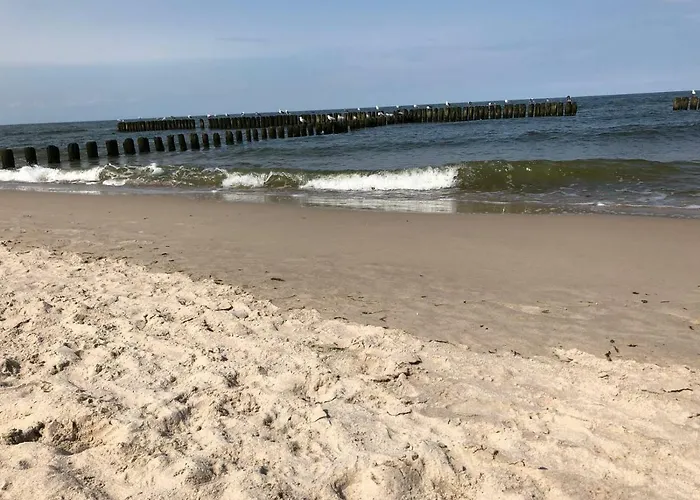 Czyzyk Διαμέρισμα