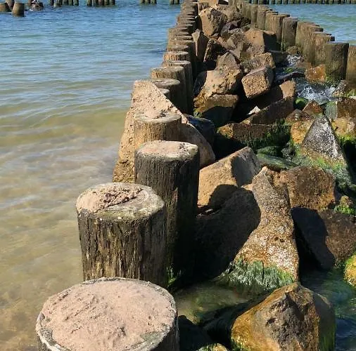 Czyzyk Διαμέρισμα